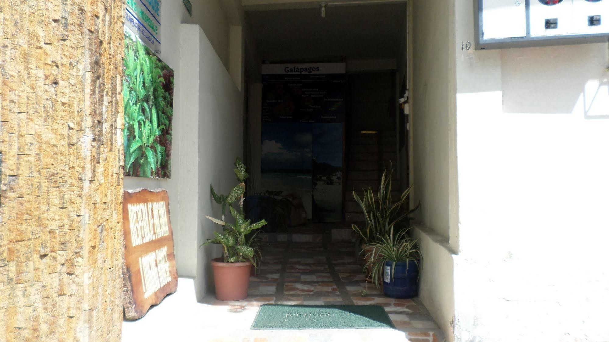 Hostal Miconia Puerto Ayora  Exterior foto
